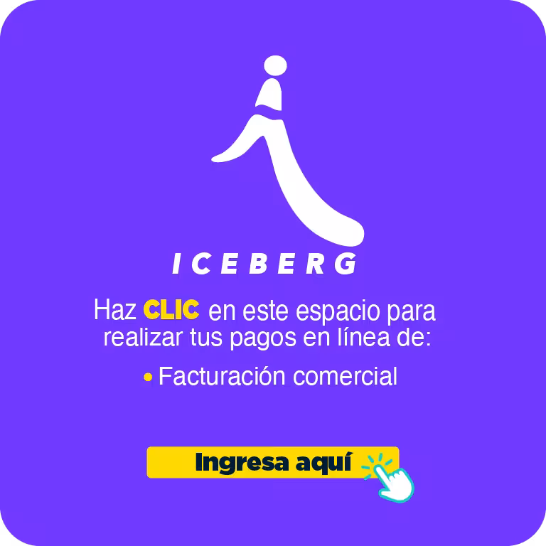 medios-de-pago-iceberg