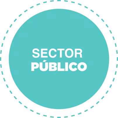 img-proyeccion-modal-sector-publico